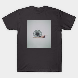 Snail T-Shirt